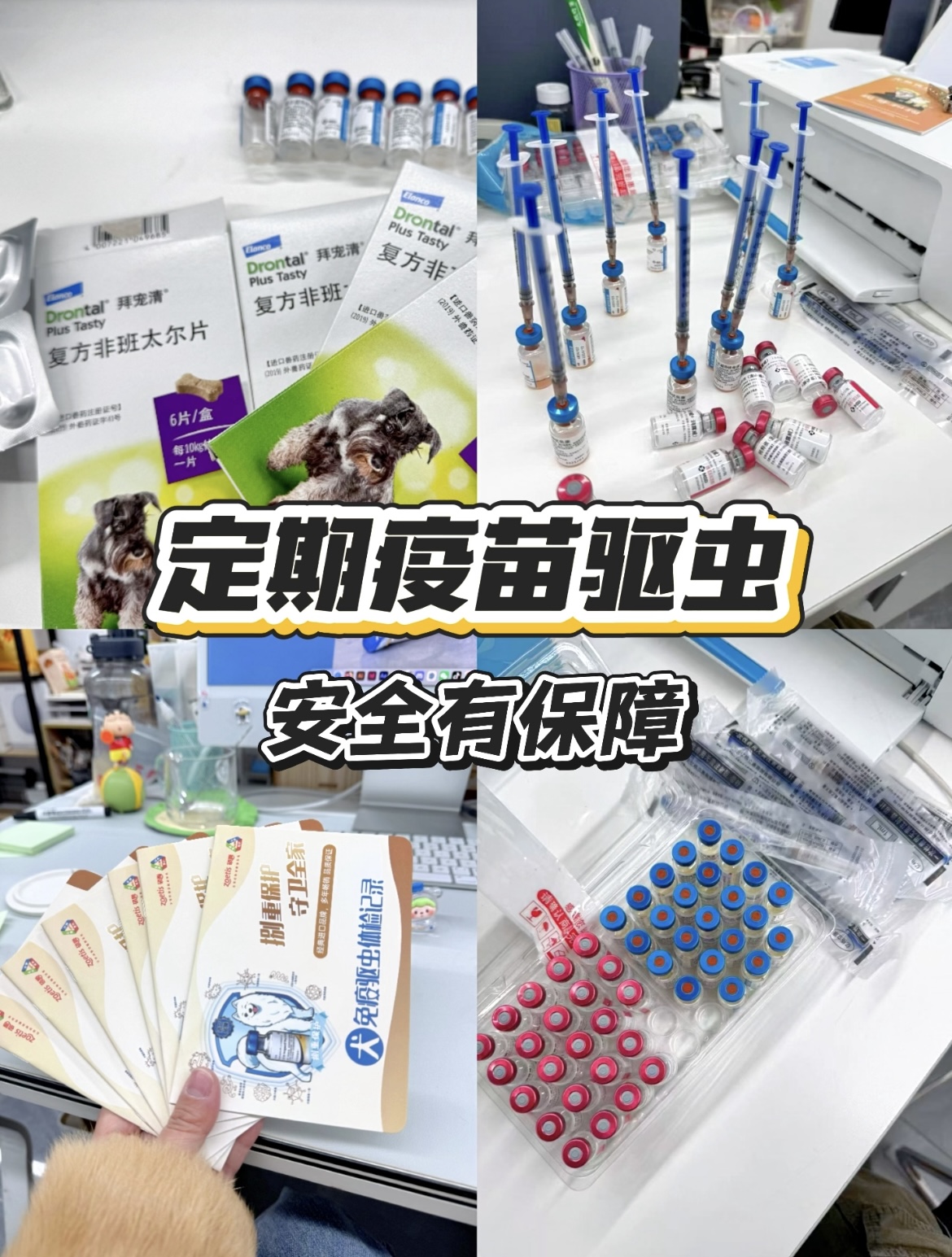 定期疫苗驱虫药品实拍